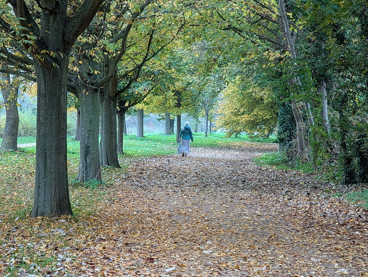 In photos: a wonderful autumnal walk from Hampton Court to Kingston alongside the River Thames