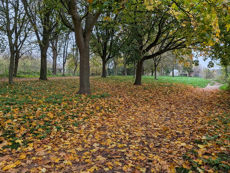 In photos: a wonderful autumnal walk from Hampton Court to Kingston alongside the River Thames