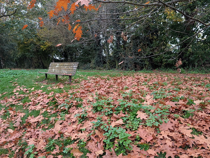 In photos: a wonderful autumnal walk from Hampton Court to Kingston alongside the River Thames