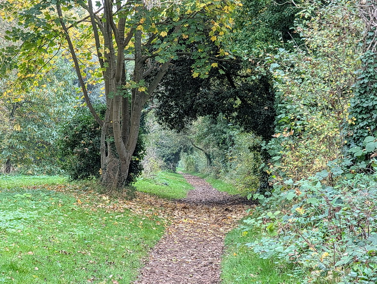 In photos: a wonderful autumnal walk from Hampton Court to Kingston alongside the River Thames