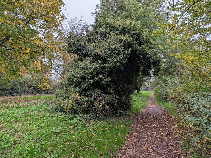 In photos: a wonderful autumnal walk from Hampton Court to Kingston alongside the River Thames