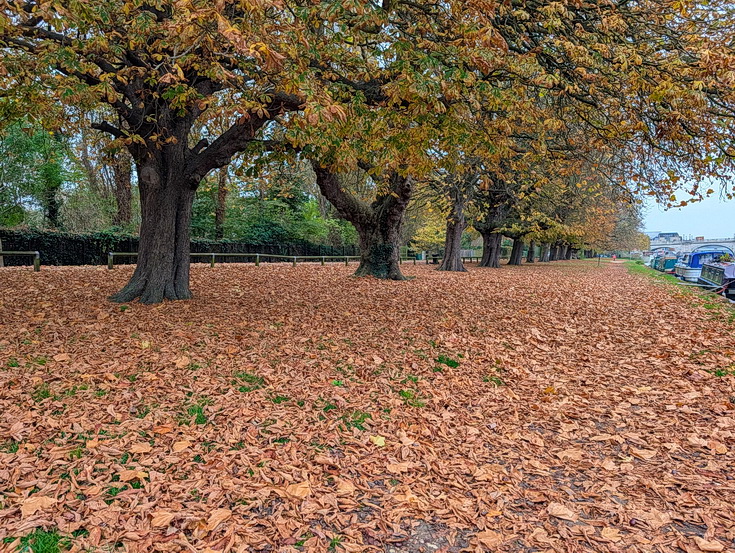 In photos: a wonderful autumnal walk from Hampton Court to Kingston alongside the River Thames