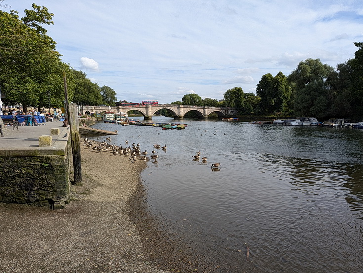 A beautiful London riverside walk: Kew Bridge to Richmond in 40 photos