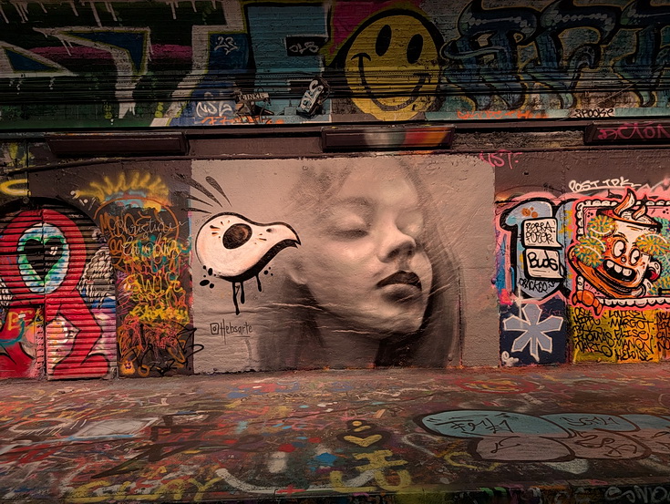 In photos: the remarkable street art on display in the Leake Street tunnel in Waterloo