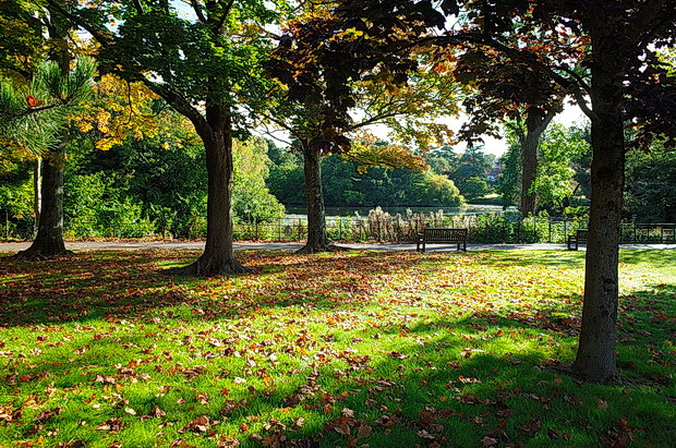 A sunny Autumnal afternoon at Roath Park, Cardiff – in photos