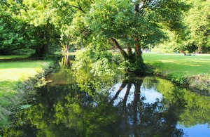 A walk around the lovely Morden Hall Park, south London