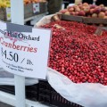 Photos of Union Square Farmers' Market and Holiday Market, New York