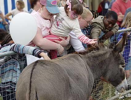 Donkeys, Lambeth Country Fair, Brockwell Park, Herne Hill, London 17th-18th July 2004