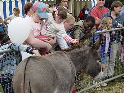 Lambeth Country Fair, Brockwell Park, Brixton, Brixton, Lambeth, London SW9