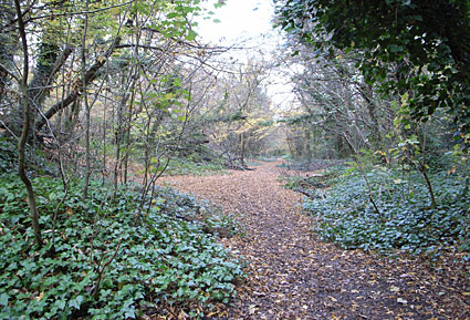 An autumnal walk around Crystal Palace park, London Borough of Bromley, south London, England, November 2007 - photo feature