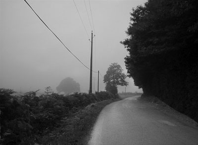 A foggy morning in Benodet, Brittany