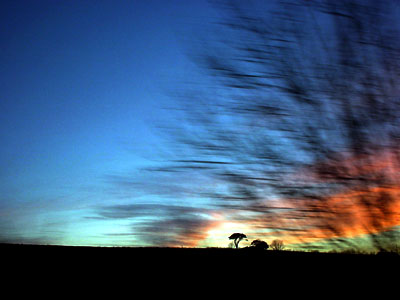 Tree and sun, Eurostar, France