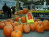 Pumpkins Galore, Union Square, New York, USA