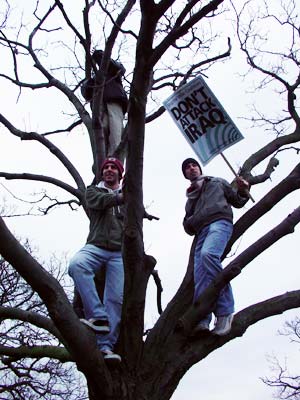 Protesters in a tree, Hyde Park, Stop the War Rally, London Feb 15th 2003