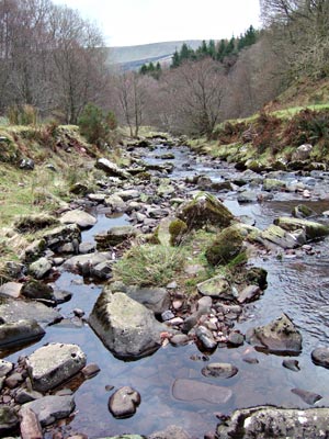 Blaen-y-Glyn waterfall, Brecon Beacons national park, south Wales photos