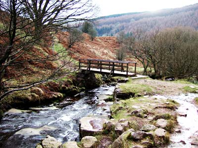 Wooden footbridge, Blaen-y-Glyn, Brecon Beacons national park, south Wales photos